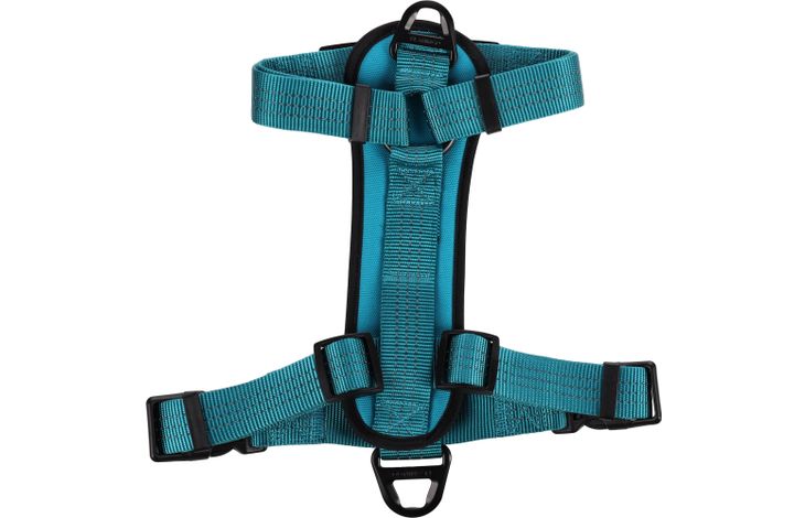 Flamingo Harnas Zorba Turkoois