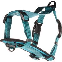 Flamingo Harnas Zorba Turkoois