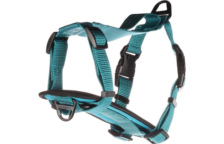 Flamingo Harnas Zorba Turkoois