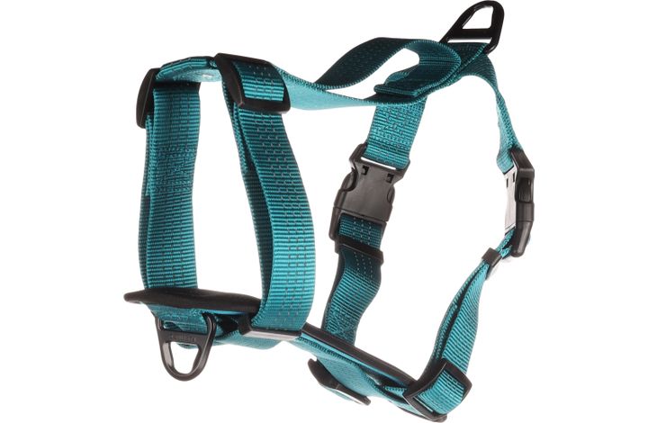 Flamingo Harnas Zorba Turkoois