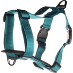 Harness H-Harness Zorba Turquoise