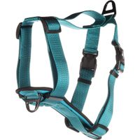 Flamingo Harnas Zorba Turkoois