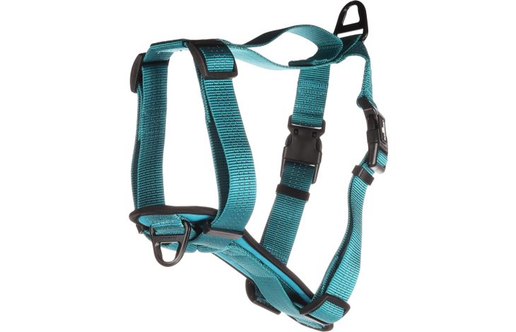 Flamingo Harnas Zorba Turkoois