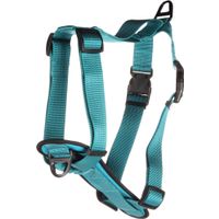 Flamingo Harnas Zorba Turkoois