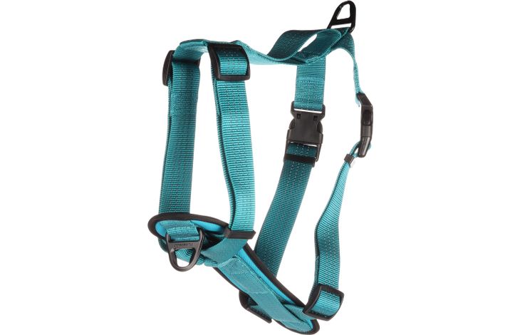 Flamingo Harnas Zorba Turkoois