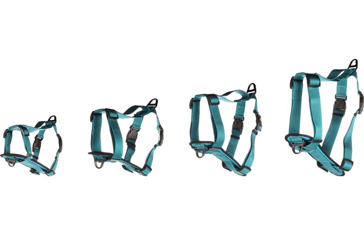 Flamingo Harnas Zorba Turkoois