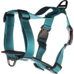 Harness Zorba Turquoise