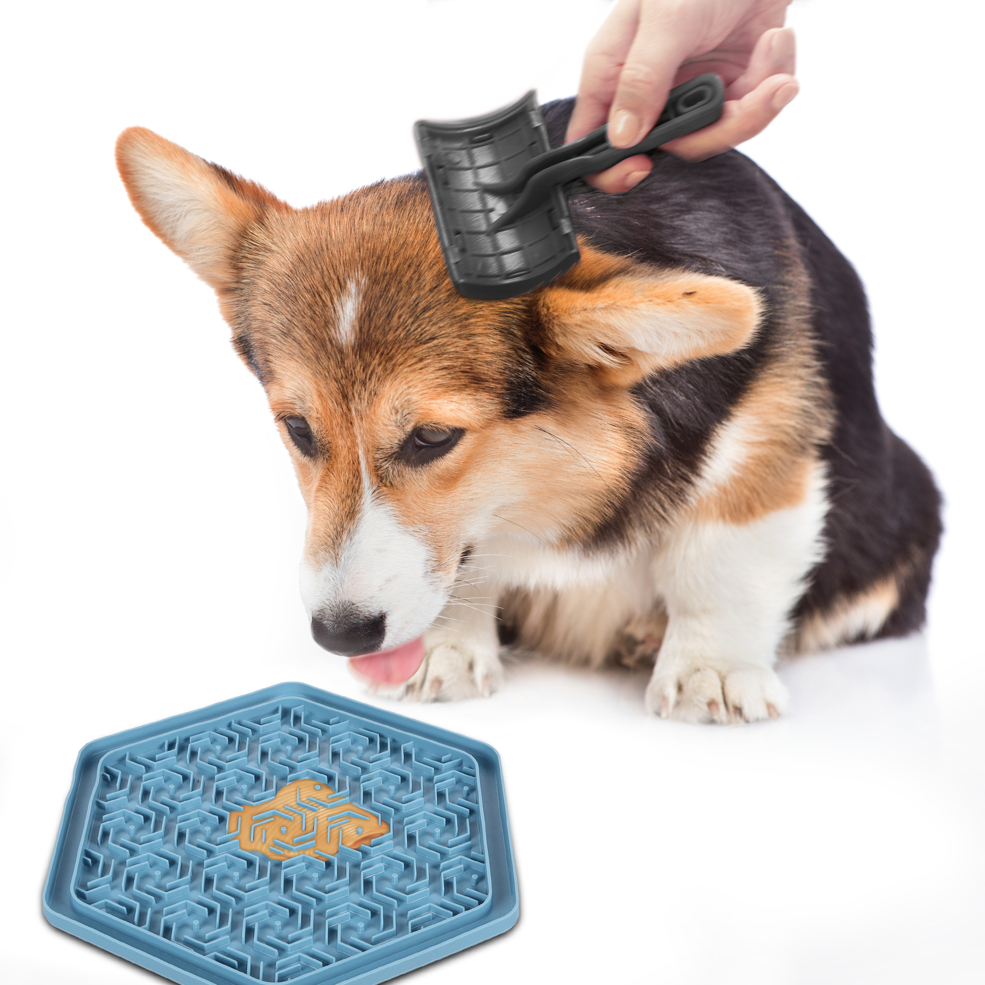 Flamingo Lick pad Jelly Hexagon Multiple colours