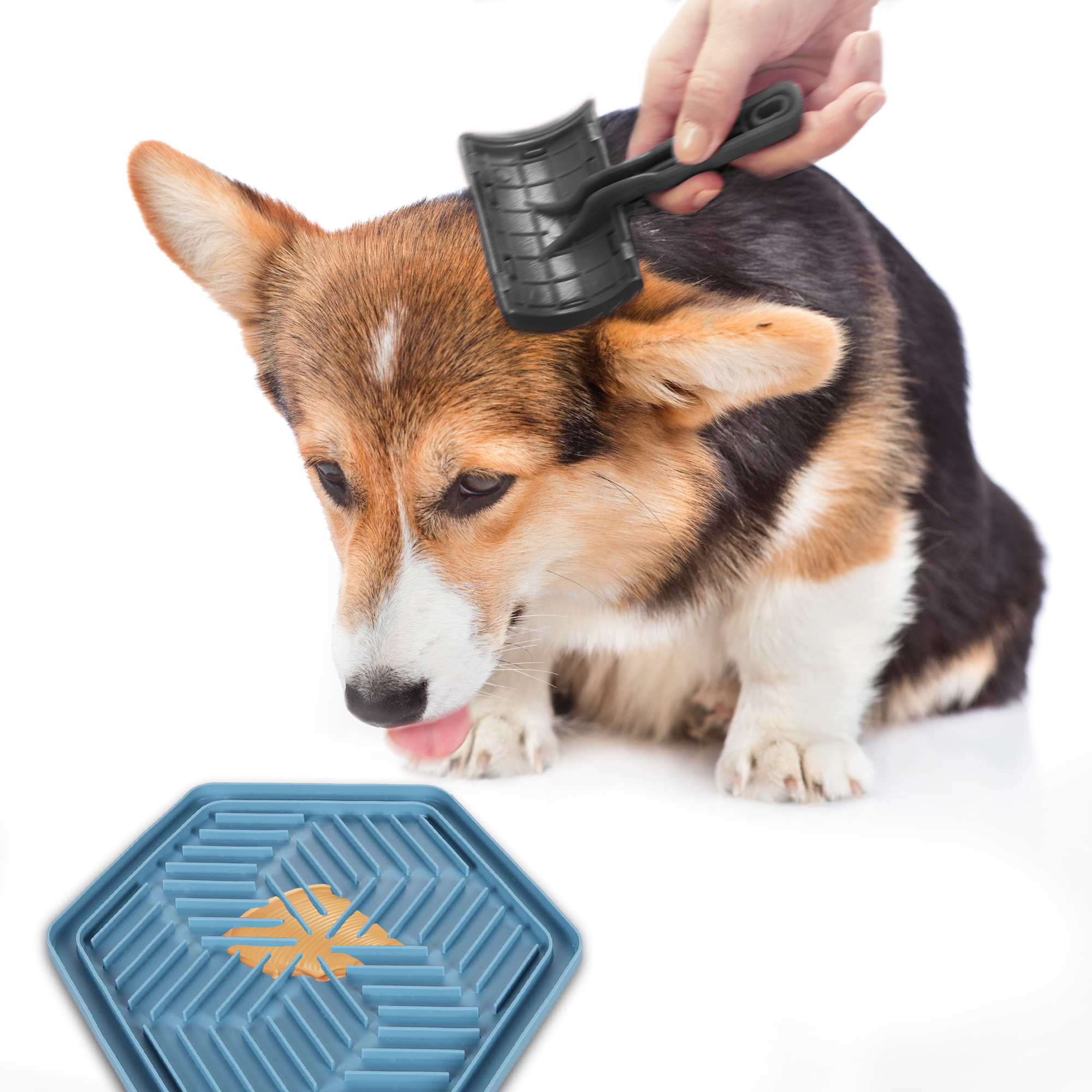 Flamingo Lick pad Bean Hexagon Multiple colours