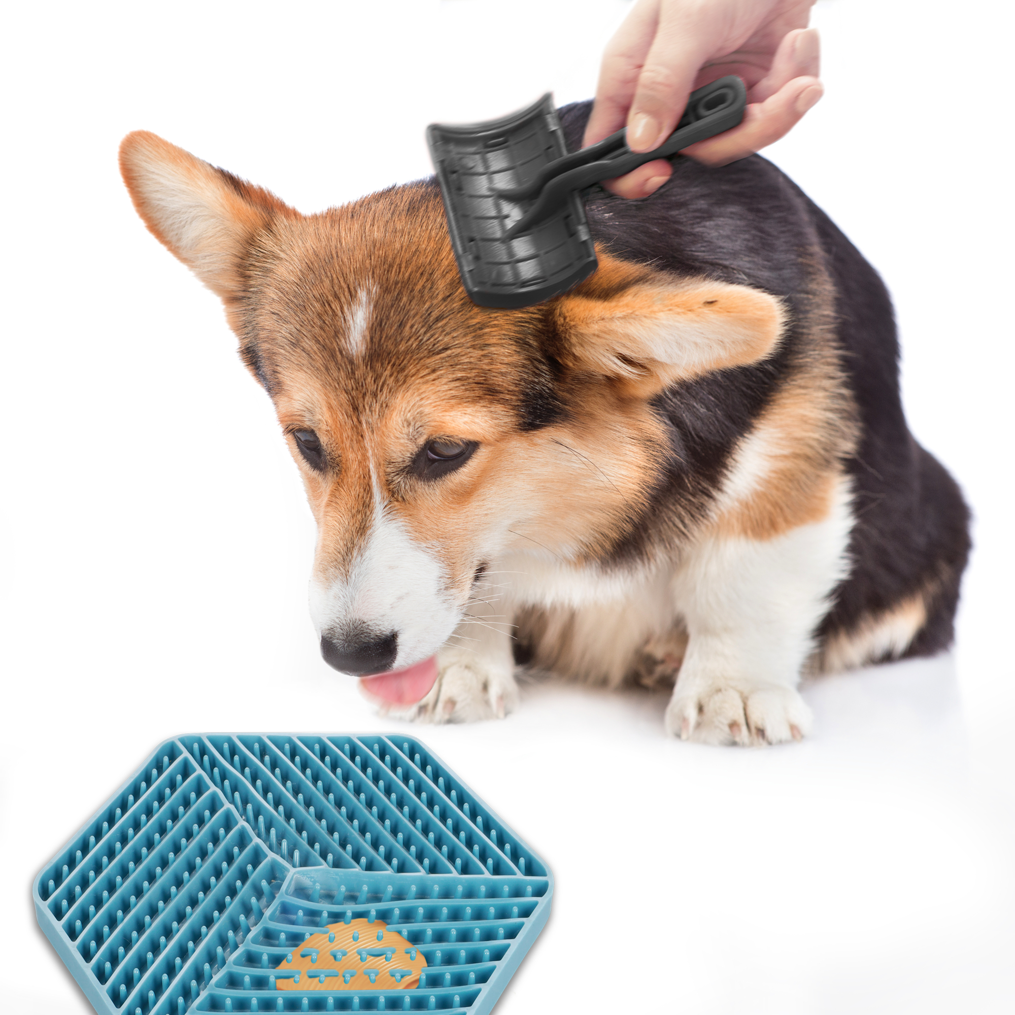 Flamingo Lick pad Leki Hexagon Multiple colours