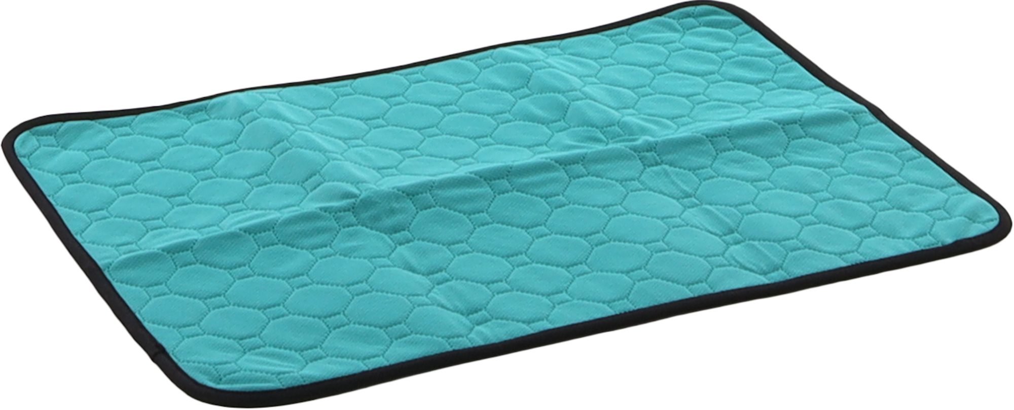 Flamingo Training pad Patsy Green