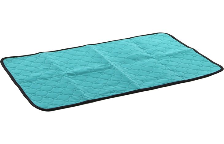 Flamingo Training pad Patsy Green