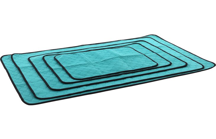 Flamingo Training pad Patsy Green