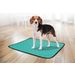 Training pad Patsy Green