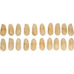 Snack R'Hide Schoen  12cm 20gr / 20 st 400gr