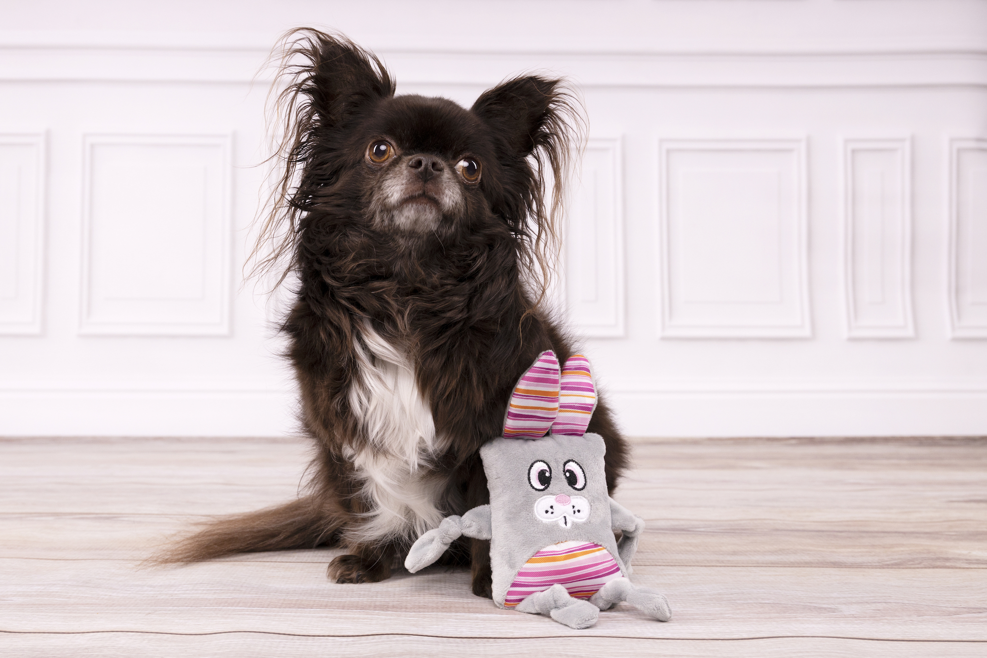 Flamingo Toy Pieno Rabbit Grey