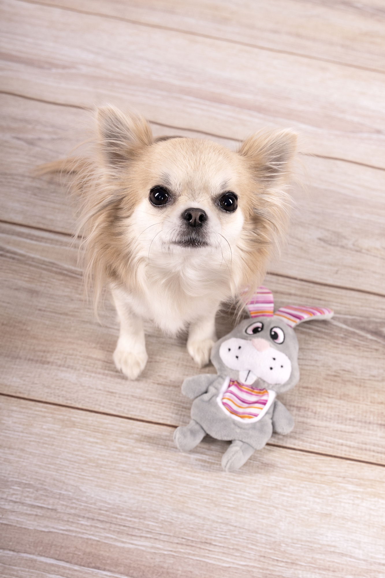 Flamingo Giocattolo Pieno Coniglio Grigio