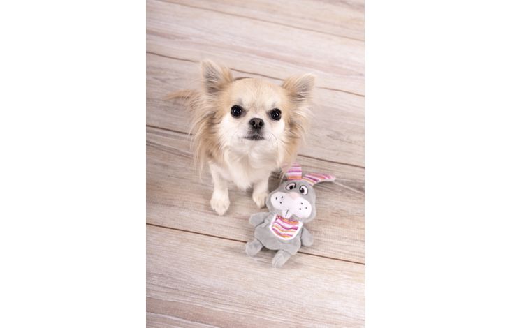 Flamingo Giocattolo Pieno Coniglio Grigio