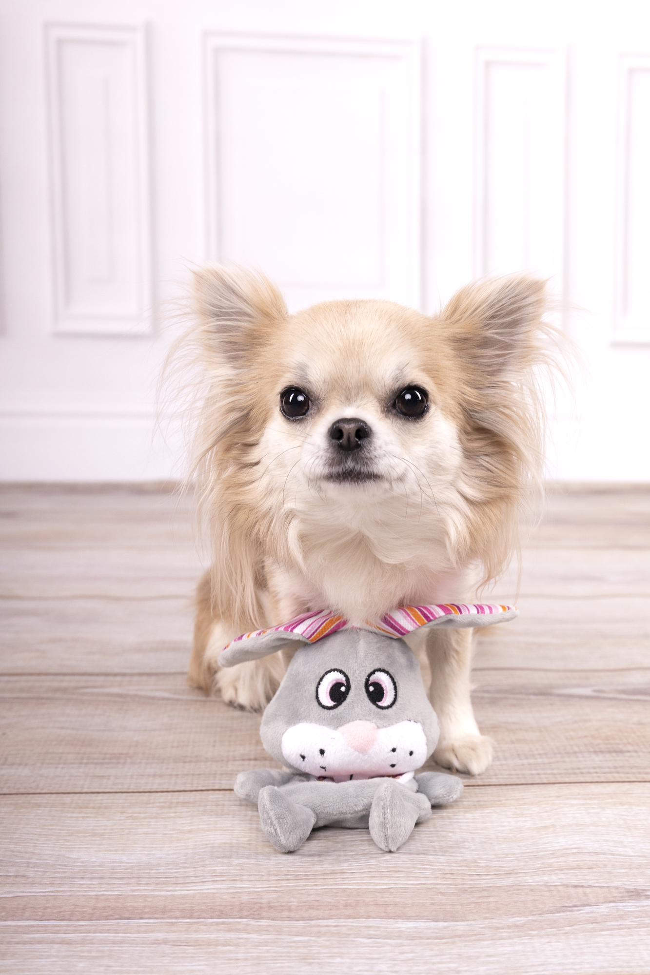 Flamingo Giocattolo Pieno Coniglio Grigio