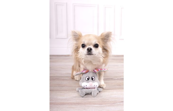 Flamingo Giocattolo Pieno Coniglio Grigio