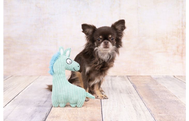 Flamingo Toy Pebbles Horse Turquoise