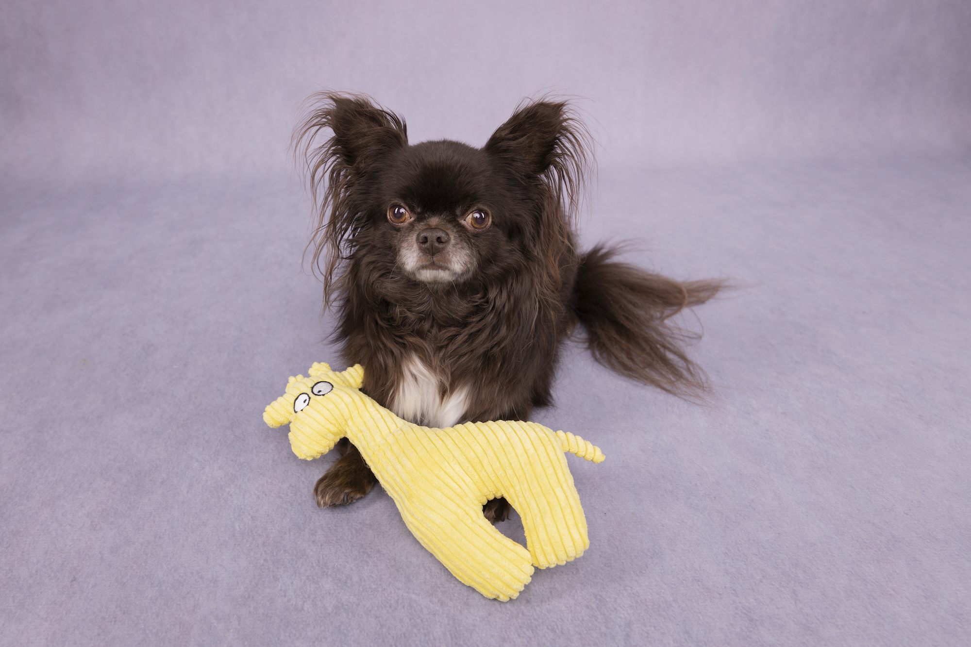 Flamingo Speelgoed Pebbles Giraf Geel