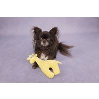 Flamingo Speelgoed Pebbles Giraf Geel