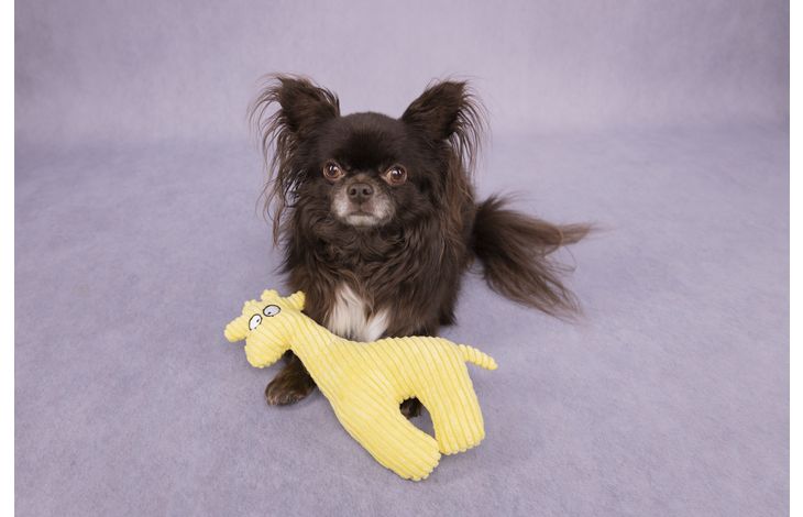 Flamingo Speelgoed Pebbles Giraf Geel