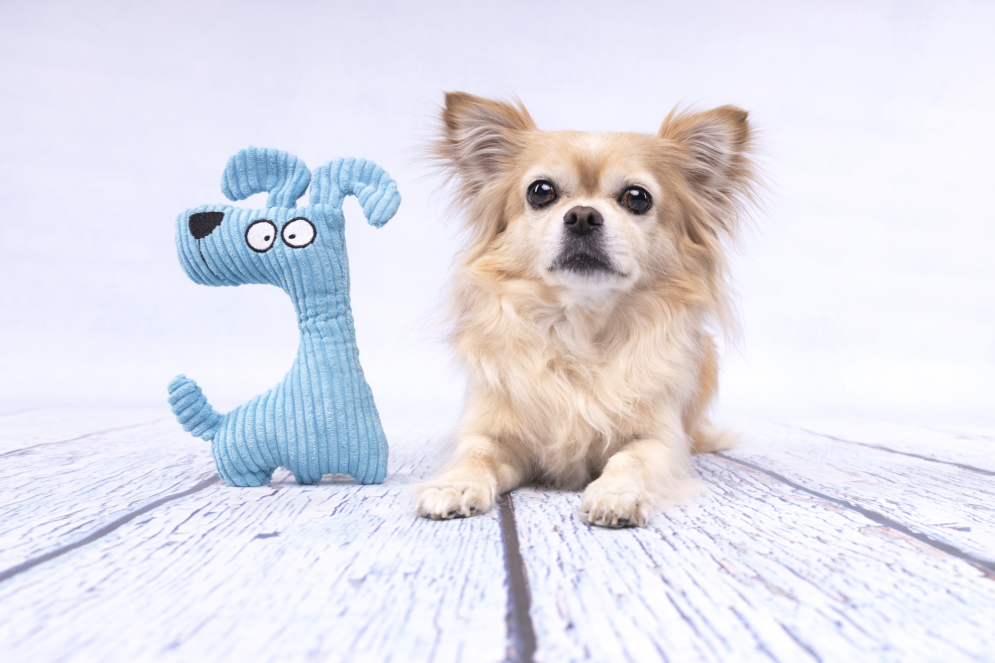 Flamingo Speelgoed Pebbles Hond Blauw