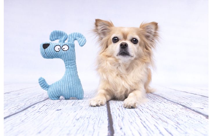 Flamingo Speelgoed Pebbles Hond Blauw