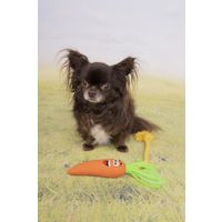 Flamingo Toy Xibor Carrot with rope Orange