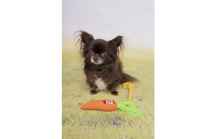 Flamingo Toy Xibor Carrot with rope Orange