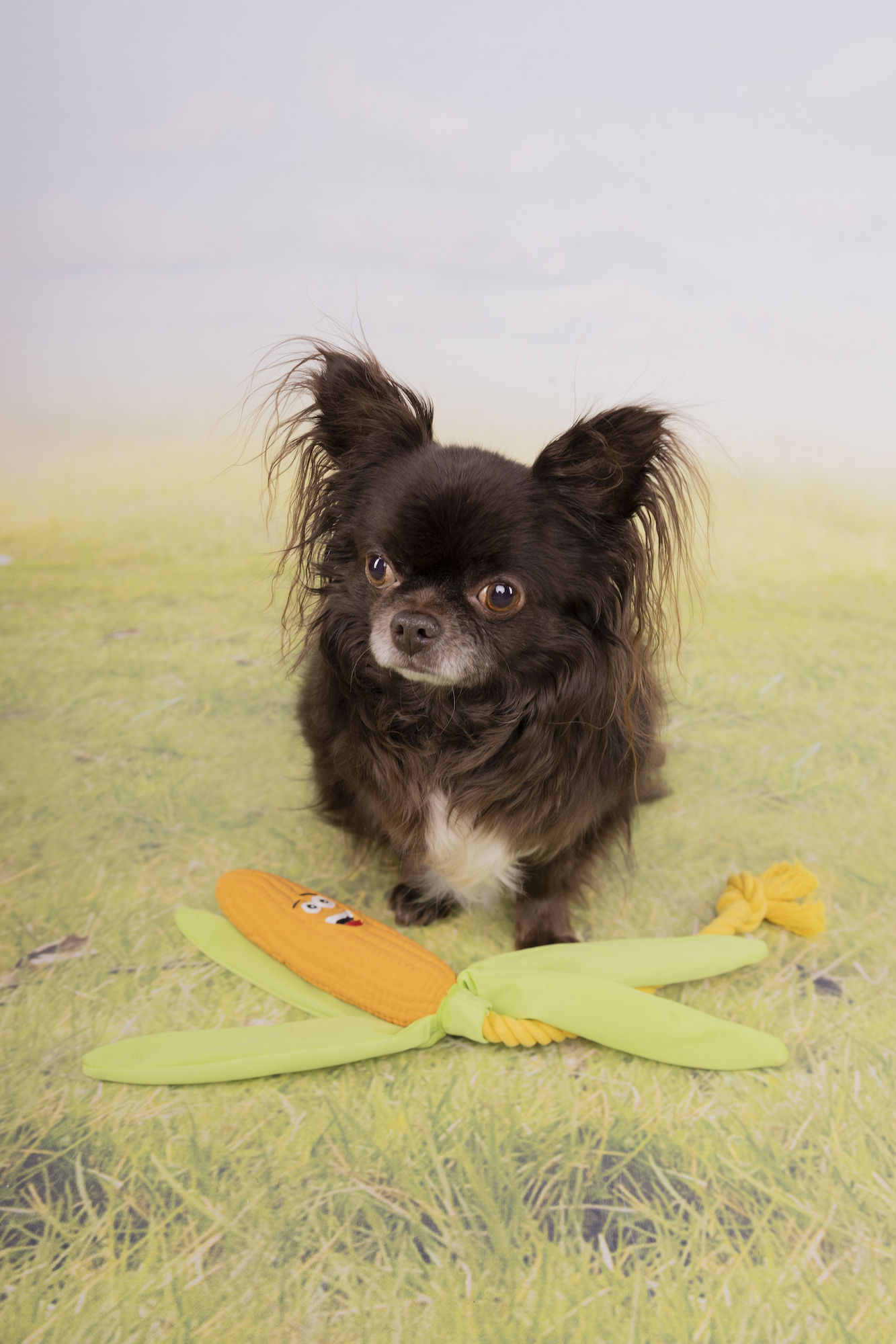 Flamingo Toy Xibor Corn with rope Orange