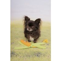 Flamingo Toy Xibor Corn with rope Orange