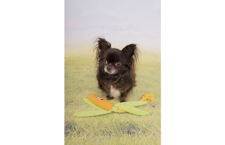 Flamingo Toy Xibor Corn with rope Orange