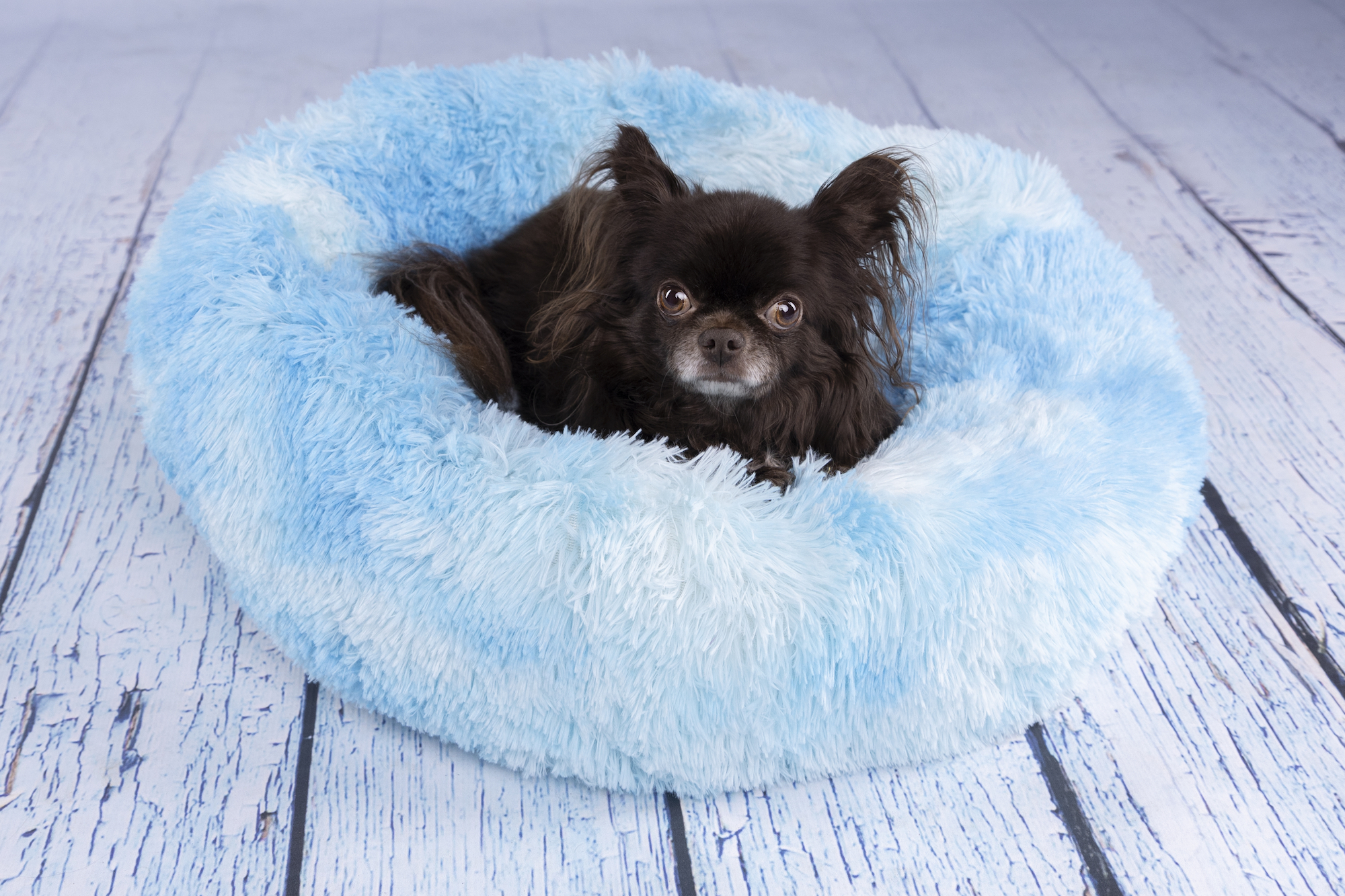 Flamingo Korb Demi Rund Blau