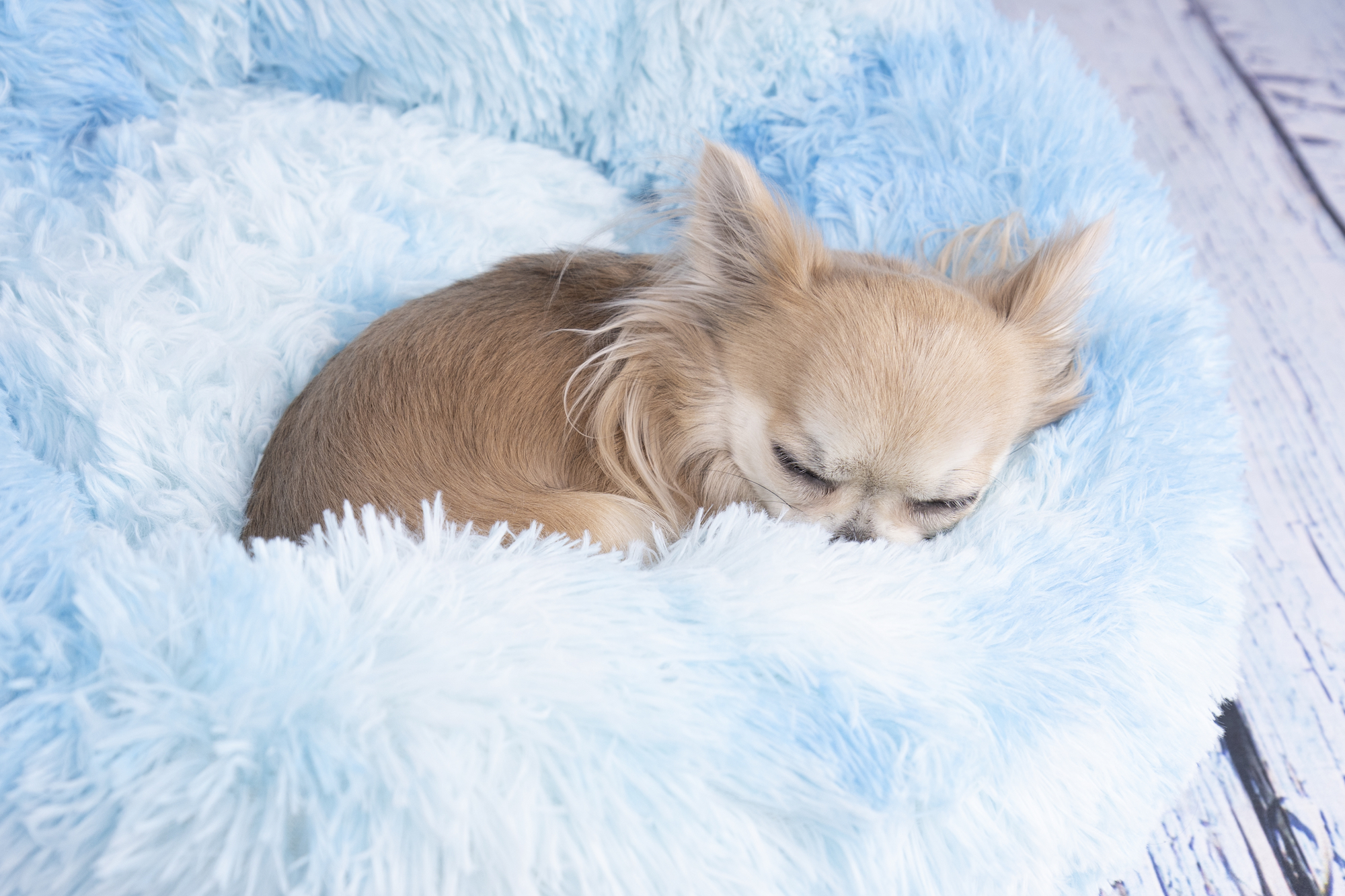 Flamingo Korb Demi Rund Blau