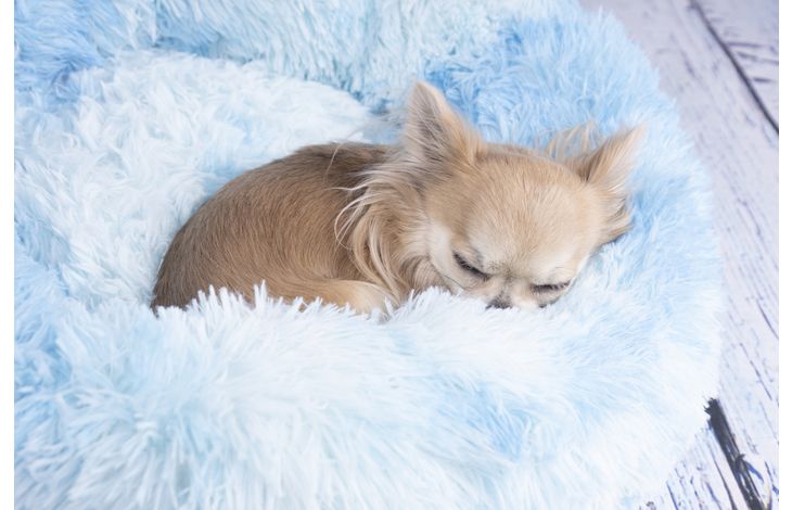 Flamingo Korb Demi Rund Blau