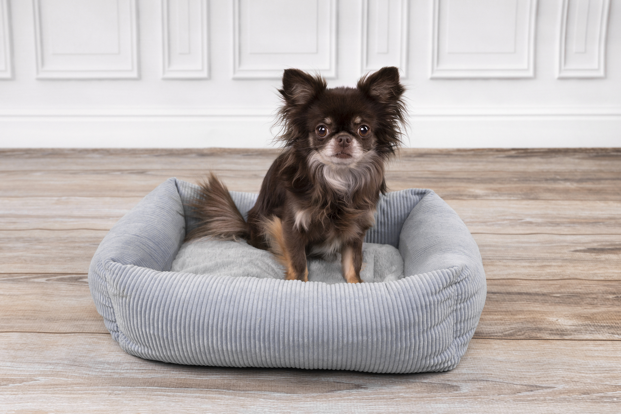 Flamingo Basket Colette Rectangle Blue