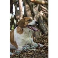 Flamingo Jouet Riva Balle nouée & Cordon avec 2 noeuds Vert