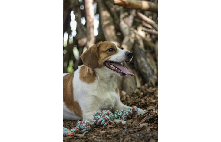 Flamingo Jouet Riva Balle nouée & Cordon avec 2 noeuds Vert