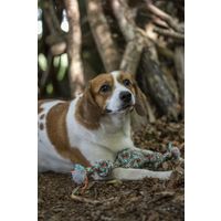 Flamingo Jouet Riva Balle nouée & Cordon avec 2 noeuds Vert