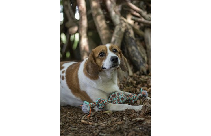 Flamingo Jouet Riva Balle nouée & Cordon avec 2 noeuds Vert