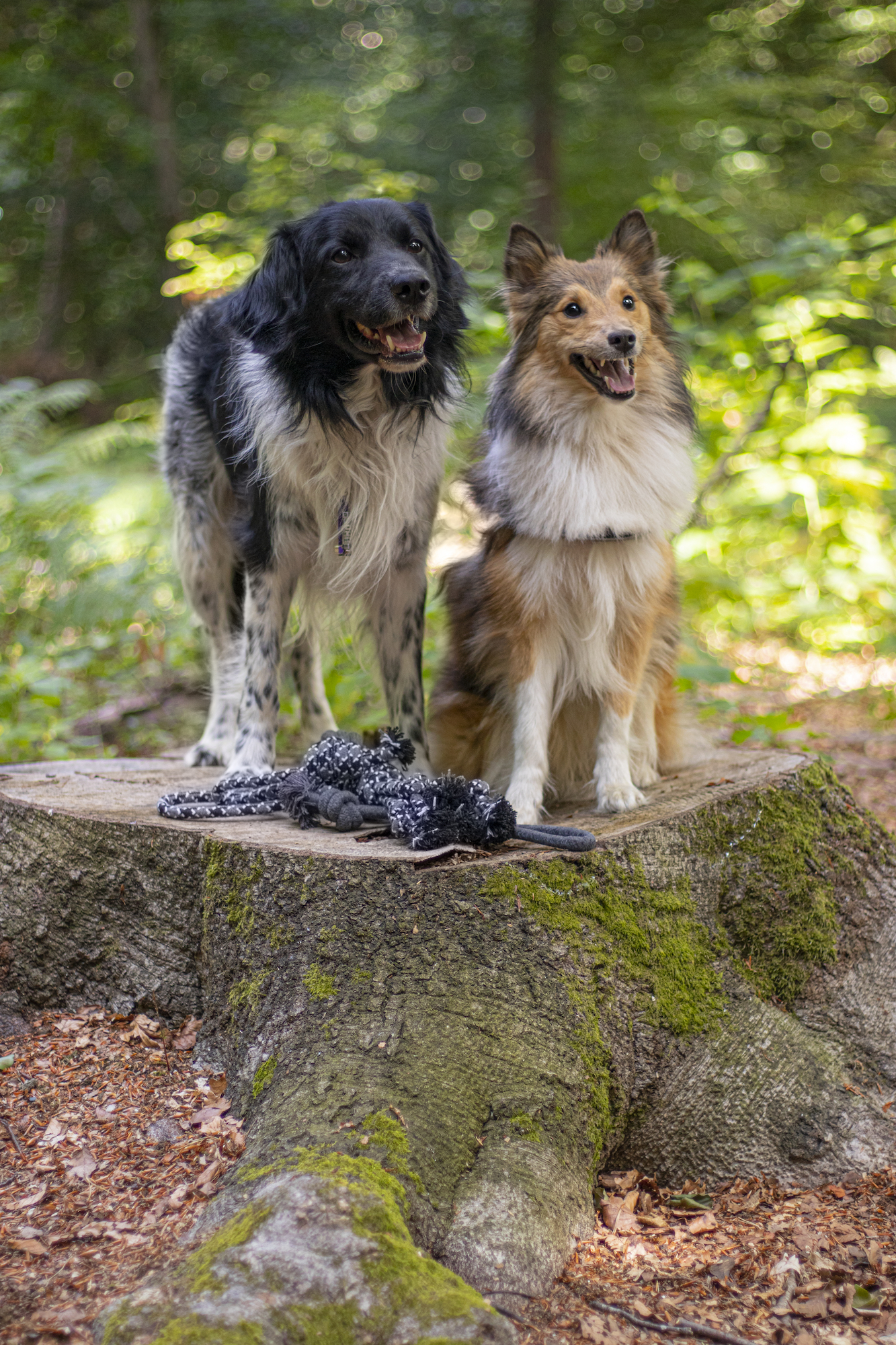 Flamingo Toy Revi Tug rope Twist Grey