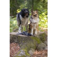 Flamingo Toy Revi Tug rope Twist Grey