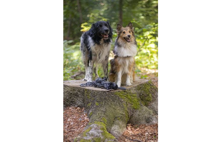 Flamingo Toy Revi Tug rope Twist Grey