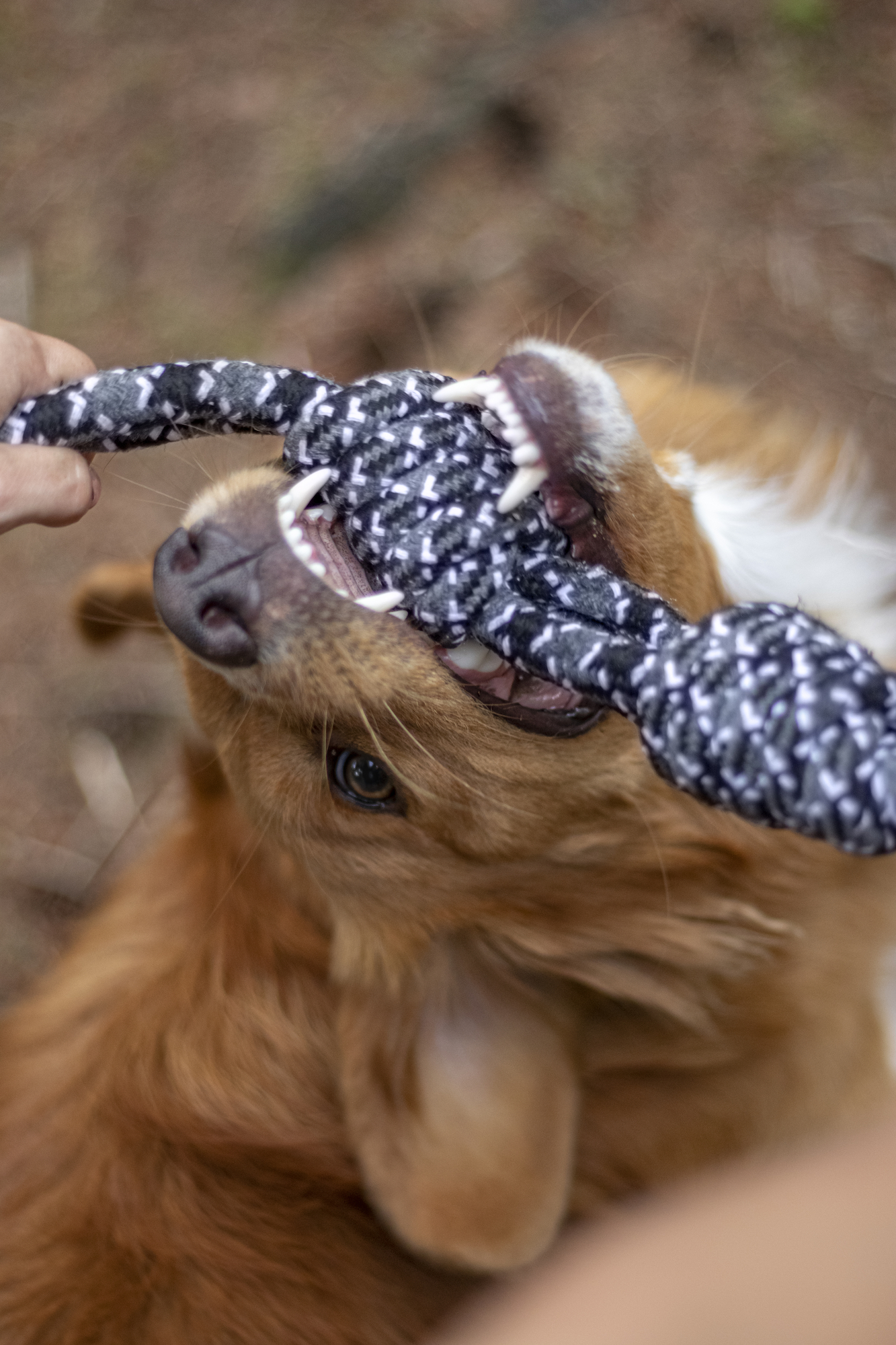 Flamingo Toy Revi Tug rope Twist Grey