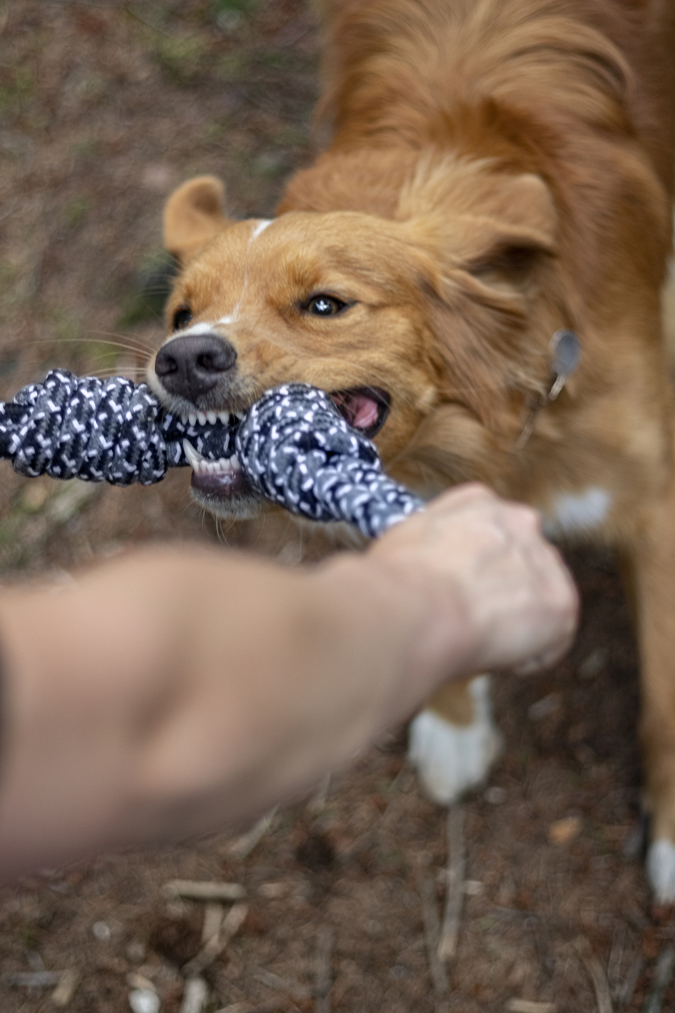 Flamingo Toy Revi Tug rope Twist Grey