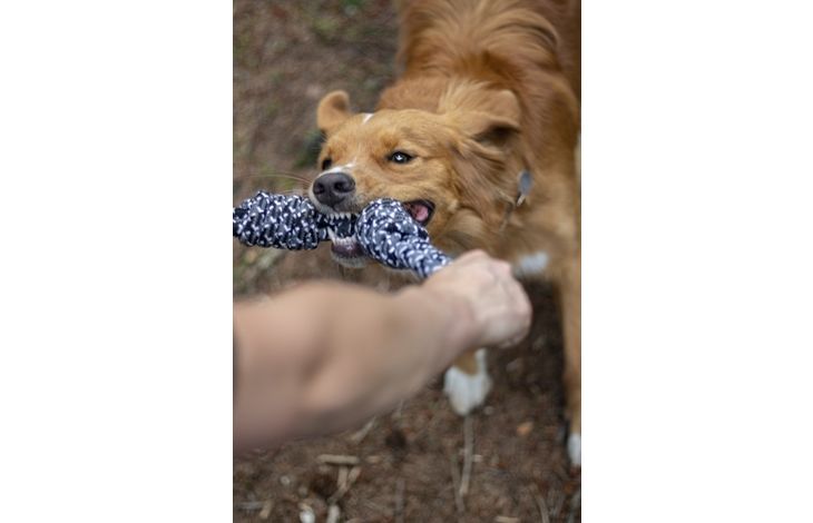 Flamingo Toy Revi Tug rope Twist Grey