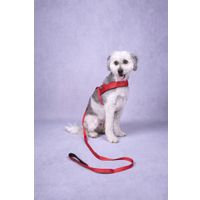 Flamingo Training leash Abbi Red